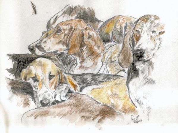 Lavis, aquarelles pastels et crayon aquarellable de chiens de meute