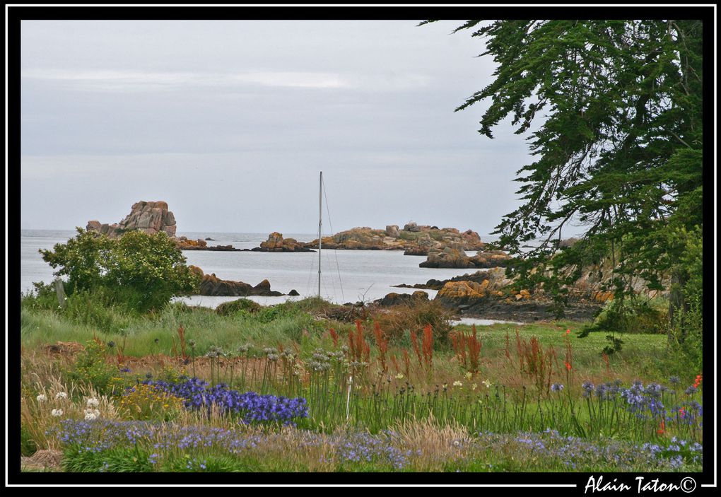 Album - île-de-Bréhat