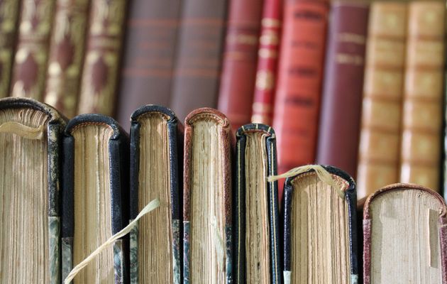 Entrevaux et le livre : une belle alchimie