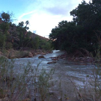 Zion national park