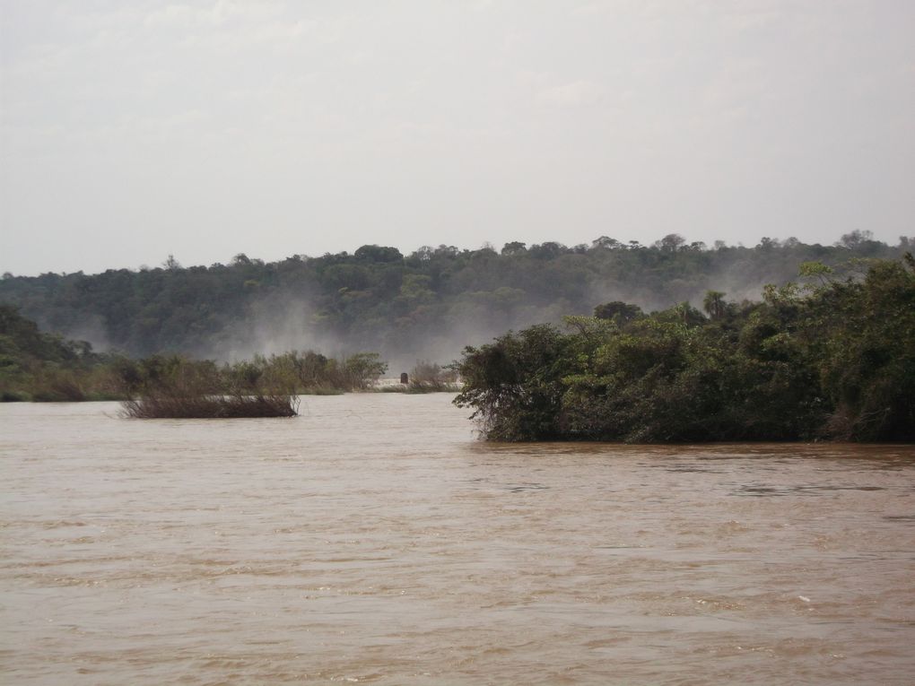 Album - chutes d'Iguazu