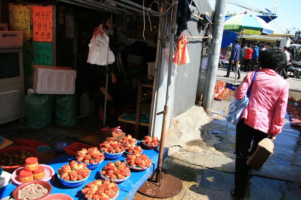 De Séoul à Busan, quelques clics pour immortaliser huit jours au pays du malte calme.