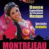 Festival mondial de folklore de Montréjeau