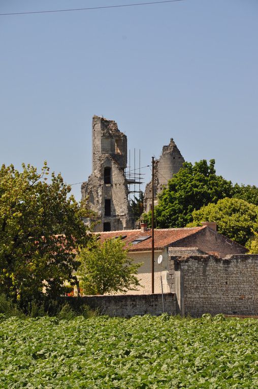 La Grimaudière-Monts sur Guesnes-Loundun