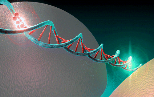 Plasmonic nanoantennas enable forbidden FRET