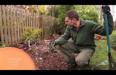 Fall is the time to prepare for winter mulching and pruning