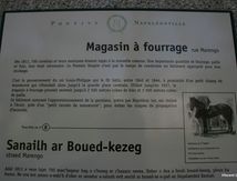 Pontivy et l'Histoire, la médiatrice du patrimoine récite une leçon... à Ouest-France !