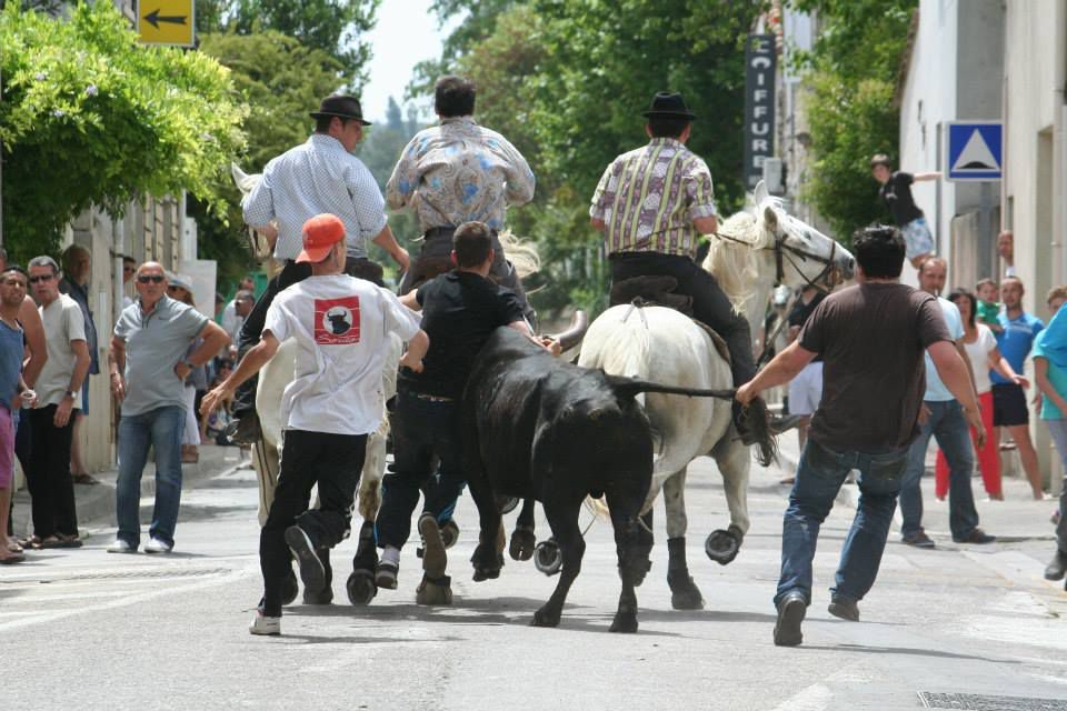 Diaporama Féria 2014