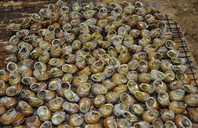 A vos agendas : 9è fête de l'escargot au Soler