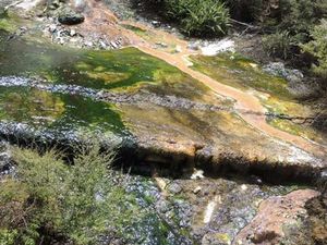 Et toujours des couleurs naturelles de partout... Mais cette fois-ci le vert/bleu est dû aux algues présentes dans l'eau