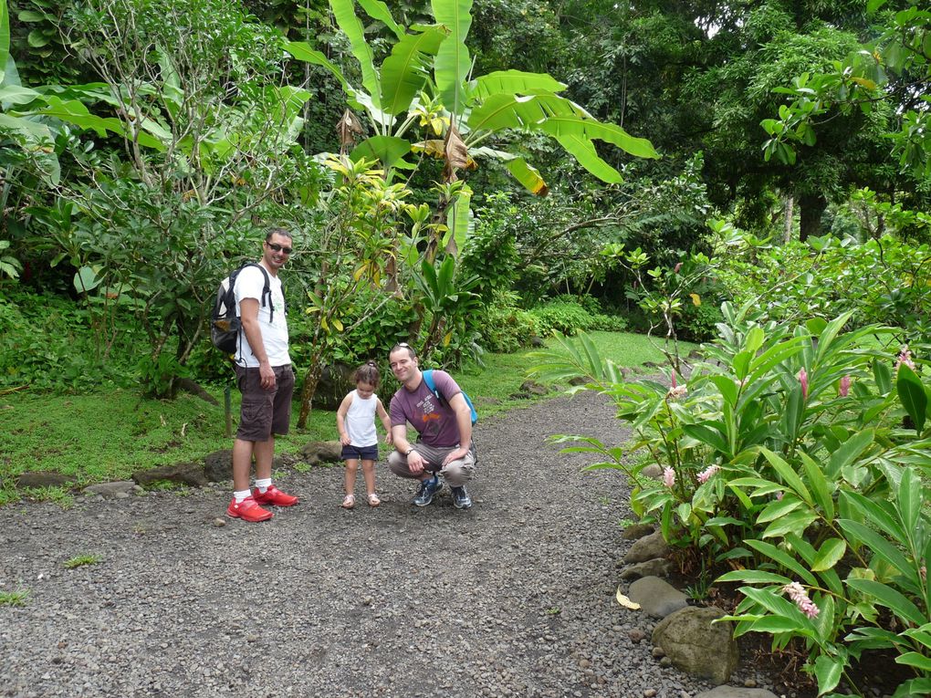 Album - Vacances Béa et Sam, 1ers jours Tahiti