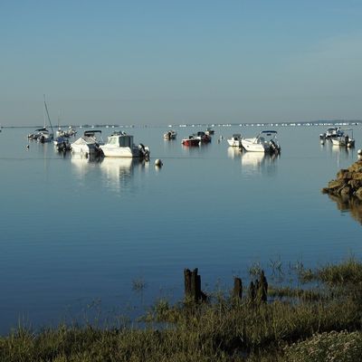 Lumière du matin au bord du Bassin...