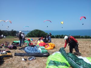 Un été, le cul en l'air