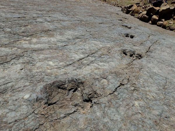 Echappée colorée dans la Cordillera de los Frailes