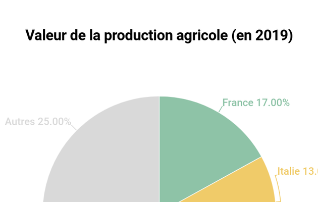 GEOPOLITIQUE /  Les chiffres de l'agriculture Européenne