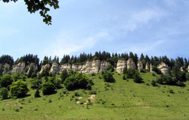 SORTIE DU 25 JUILLET AUX AIGAUX, DANS LE VERCORS.
