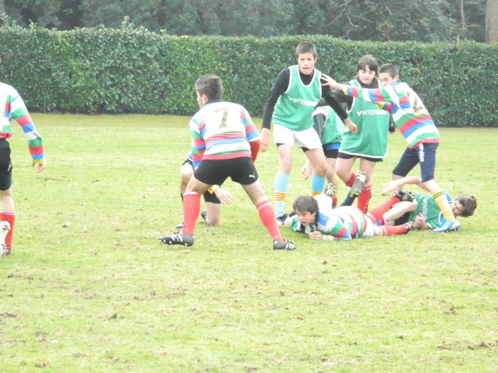 Album - district-rugby