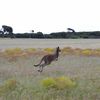 Limestone Coast