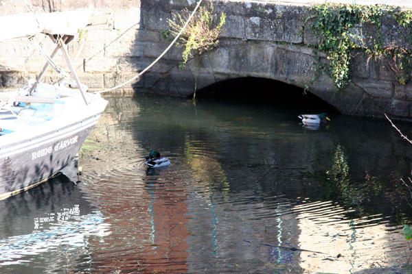 Situ&eacute; sur l'embouchure de la Vilaine, le Port de la Roche Bernard est un havre de paix...