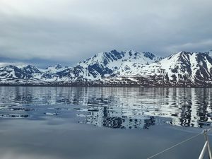 Après le cap Nord, nous retrouvons des équipiers à Alta où nous avons pu admirer les pétroglyphes rupestres vieux de 6000 ans pour les plus anciens. Retour vers Tromsø d'où ils reprennent l'avion... Derniers préparatifs de Fleur de Sel pour le Svalbard, dernier plein de nourriture et de frais pour trois semaines d'autonomie... Depuis hier, Fleur de Sel est de retour à Skjervøy dans l'attente d'une fenêtre météo pour la traversée (sans doute jeudi soir), 430 milles pour le fjo… En voir plus