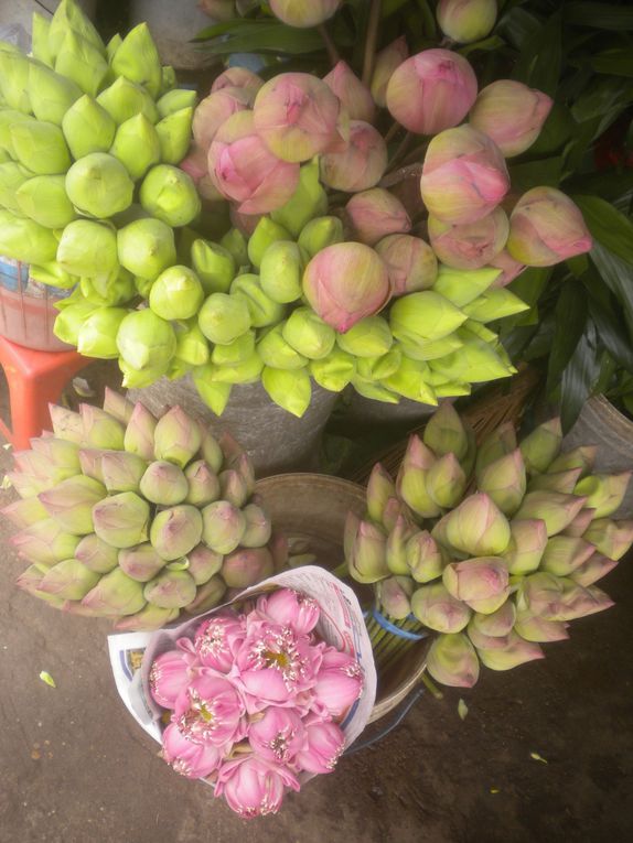 du delta du Mékong à Battambang en passant par Phnom Penh, Kep, Kampot, Takéo, Kompong Chhnang