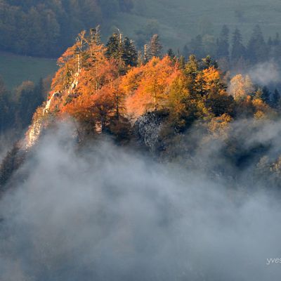 Couleurs d'automne