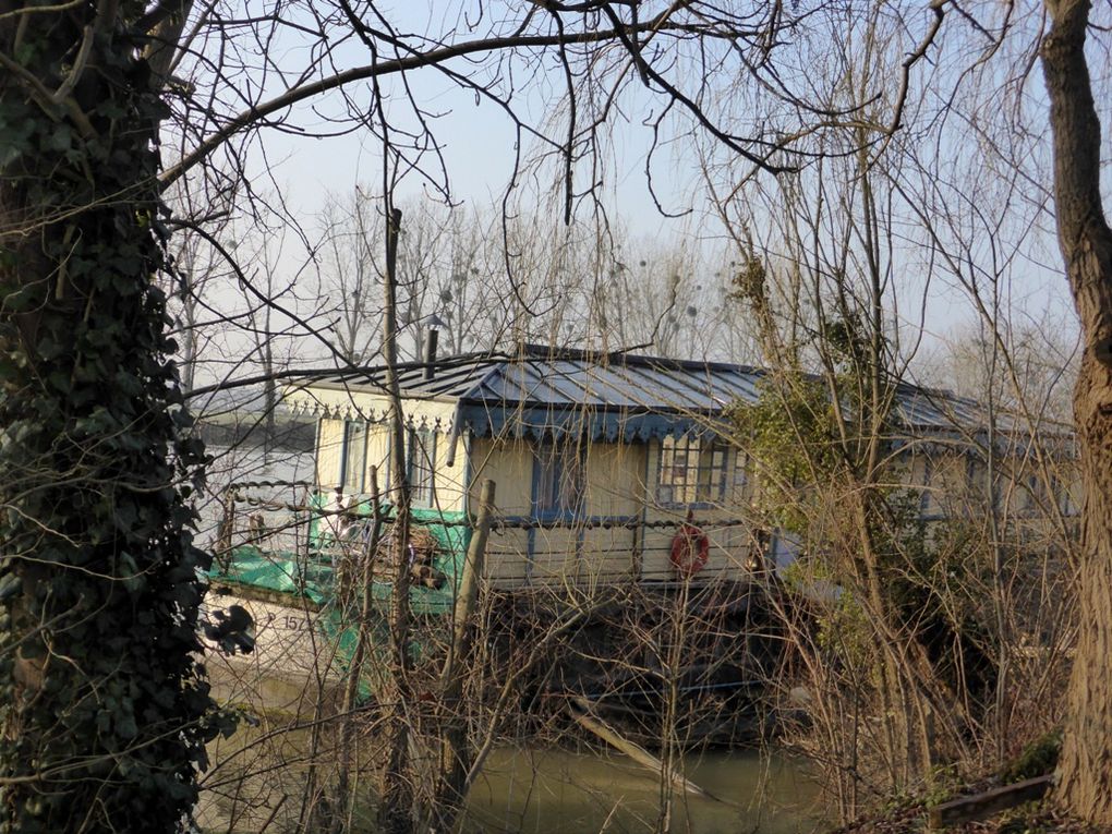 Départ le long de la Seine , où les berges commencent à sécher !