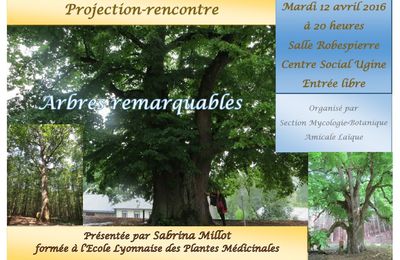 Sylvothérapie et arbres remarquables 