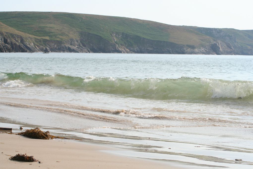 Mes photos de novembre... Le mois noir en breton !