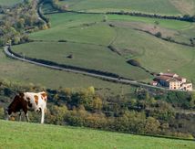 En attendant mieux nous campons sur les hauteurs de Tarare