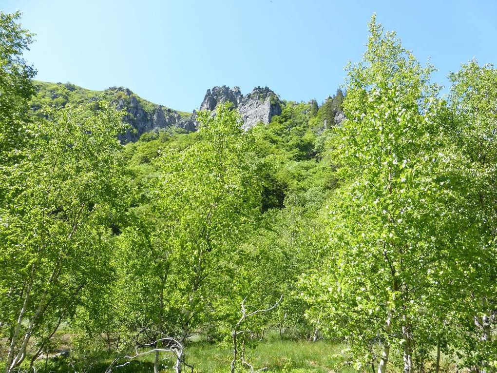 Hautes-Vosges : FRANKENTHAL (alt. 1030 m) - 21 - .