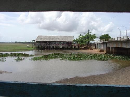 Lieu: Village du Curiaú, la communauté qui a fleuri d'une quilombo(société communautaire d'esclaves fugitifs), éloigné 8 km de Macapá, capital de l'Amapá-Brésil. 