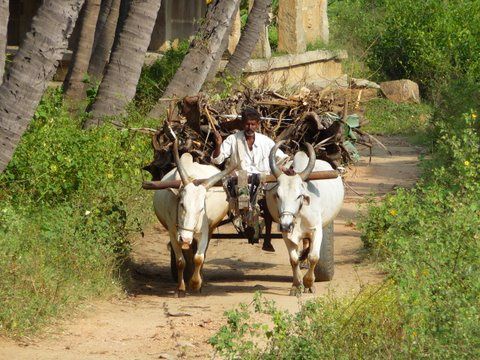 Album - Hampi