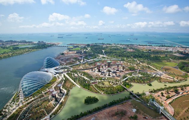 Garden by the bay - Singapore