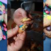 Cookies aux M&MS