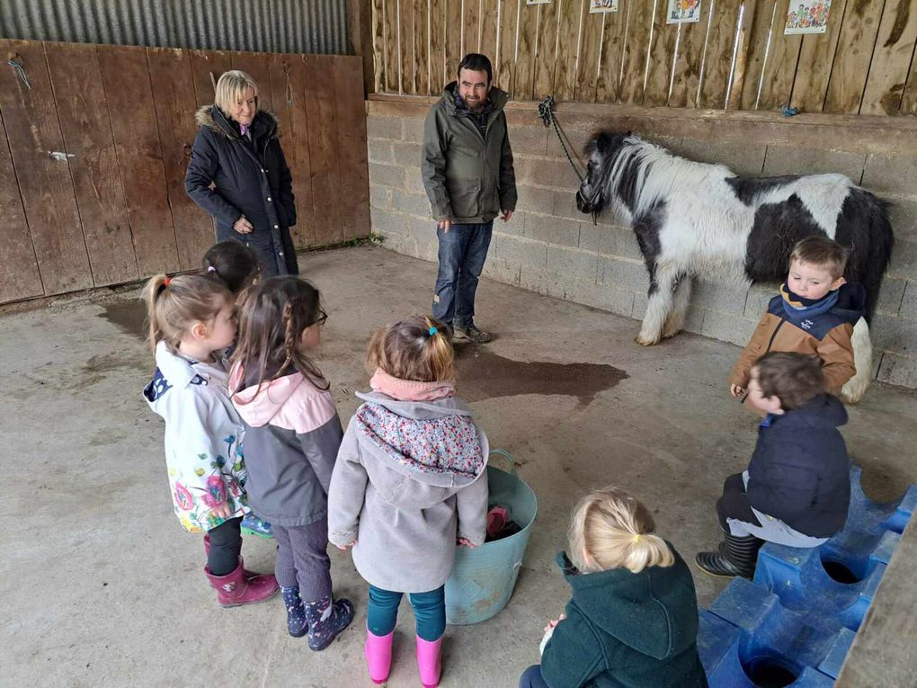 Séance 1 classe TPS PS.  Mardi 2 avril était le grand jour! Nous attendions avec impatience cette matinée poneys qui a fait plaisir à tout le monde! 3 ateliers ont été proposés : découverte de l'animal dans l'écurie, promenade à dos de poneys dans le manège, production artistique et lecture/chants dans la salle d'activité.  vivement la semaine prochaine !