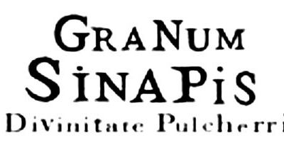 Le grain de sénevé