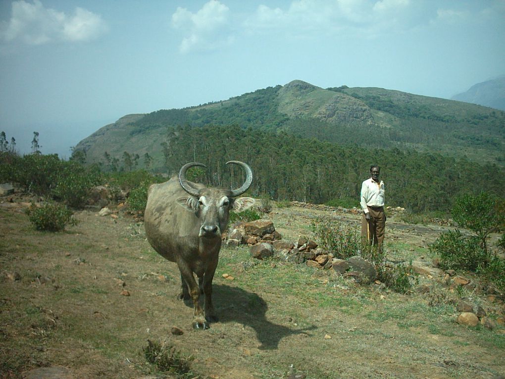 Bangalore, Kundapur, Gokarna, Palolem, Hampi, Mysore, Ooty, Pondicherry, Mamalapuram, chennai, rameswaram, Kanyakumari