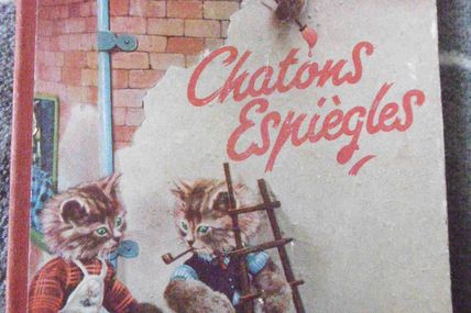 LIVRE - CHATONS ESPIEGLES  