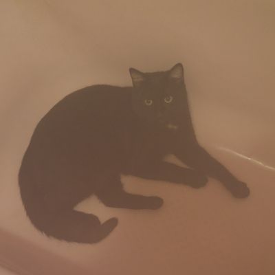 Bain pas très sec