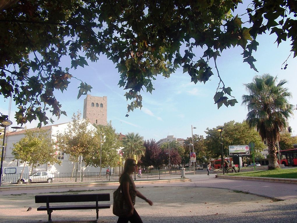 Album - Paseo-del-Canal--Zaragoza-