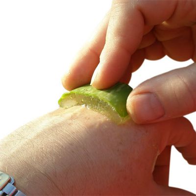 ALOE VERA ET PROBLEMES DE PEAU