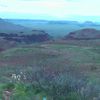 Avant d'attaquer Karratha : Le Millstream National Park