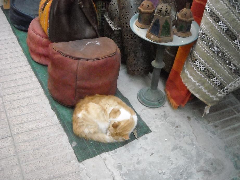 Album - Essaouira