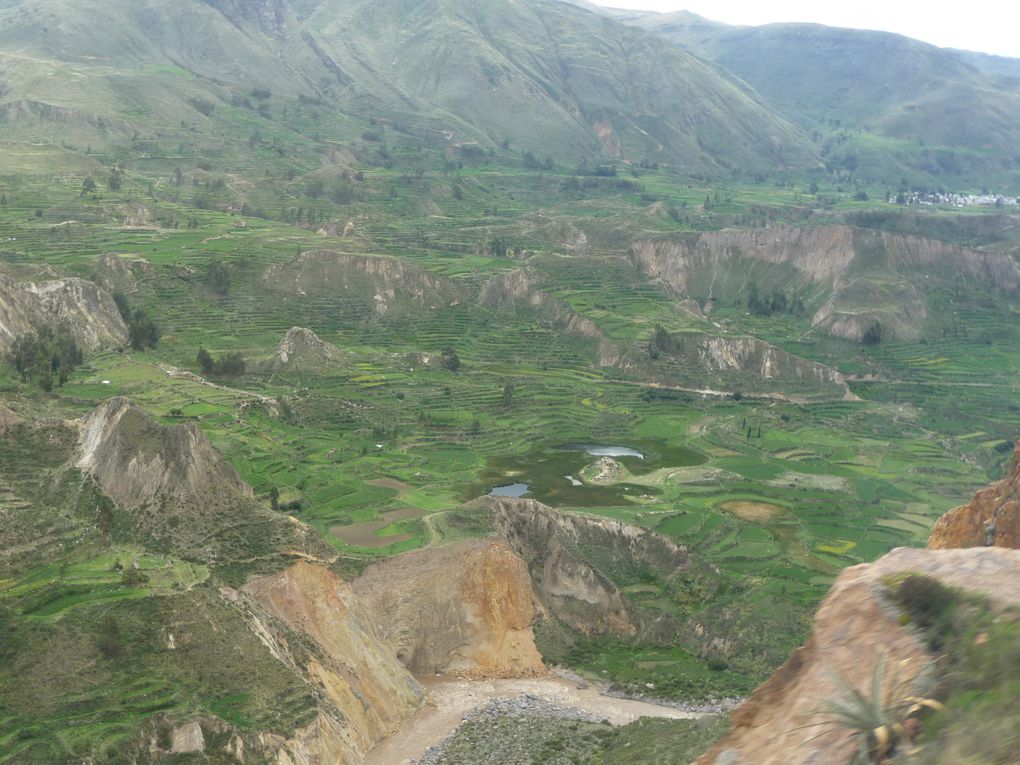 Album - 43.Canyon de Colca (Perou-Janvier)