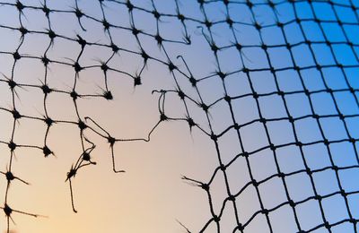 Surtourisme : fléau ou survie du Lavandou ?