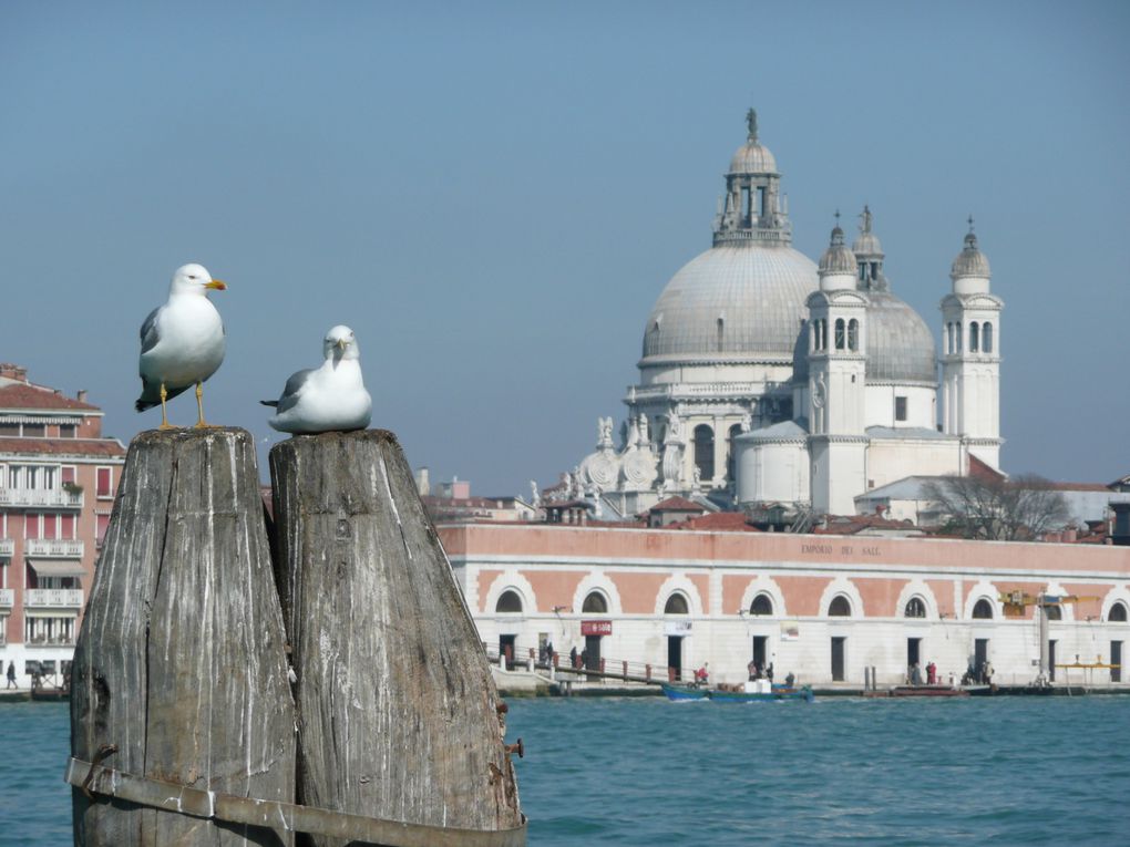 Album - Venise