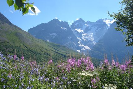 Repartir avec confiance dans la bonté humaine 