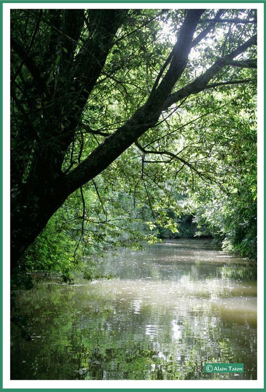 Album - le-marais-Poidevin