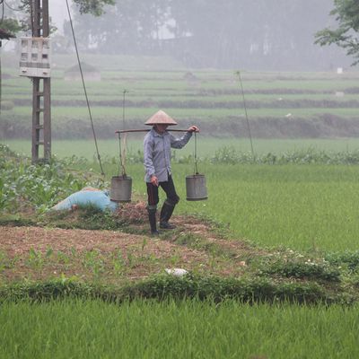 Le village de Duong Lam